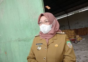 Ketersediaan Pangan Jelang Nataru Dijamin Pemerintah